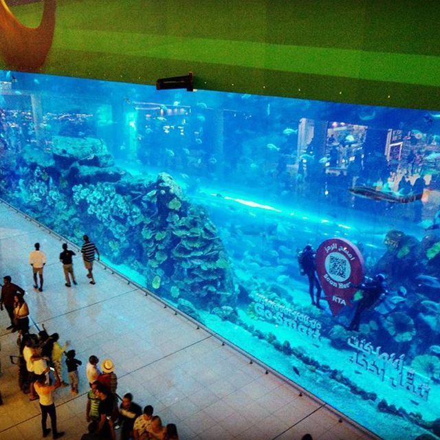 Aquarium at Dubai Mall